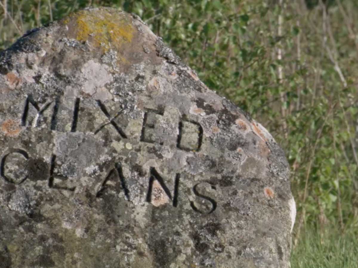 Mixed Clan Stone